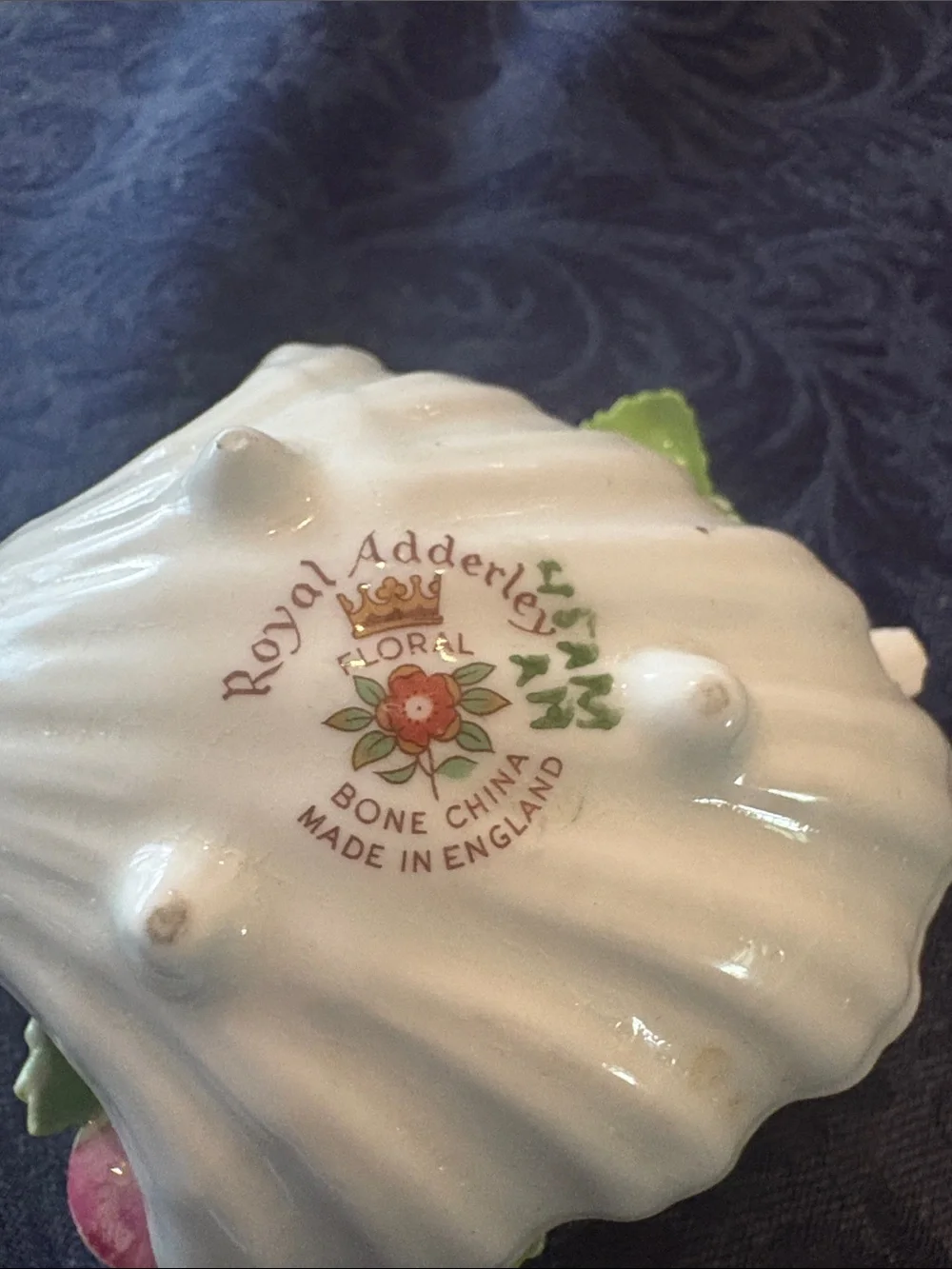 Royal Adderley decorative bone